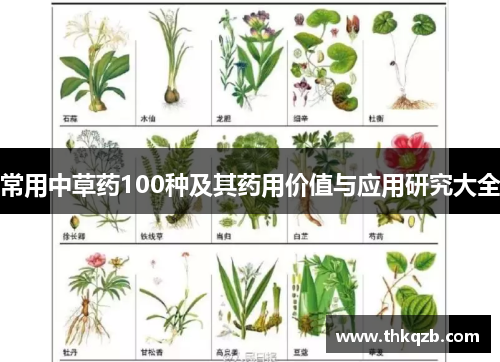 常用中草药100种及其药用价值与应用研究大全